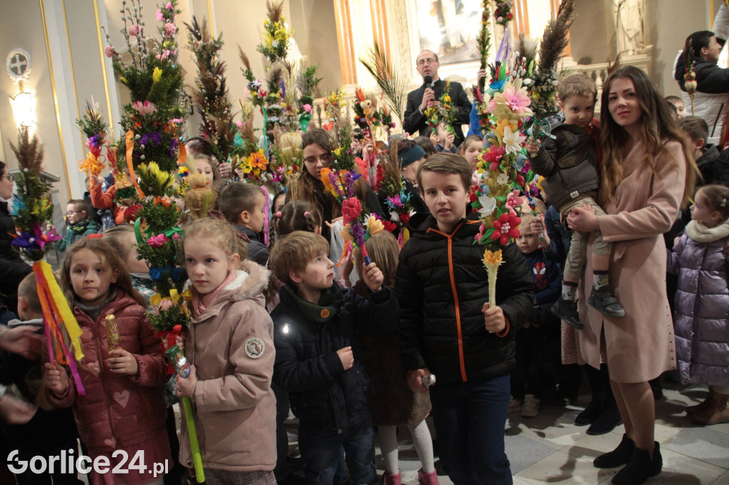 Poświecenie palm i rozstrzygnięcie konkursu w bazylice