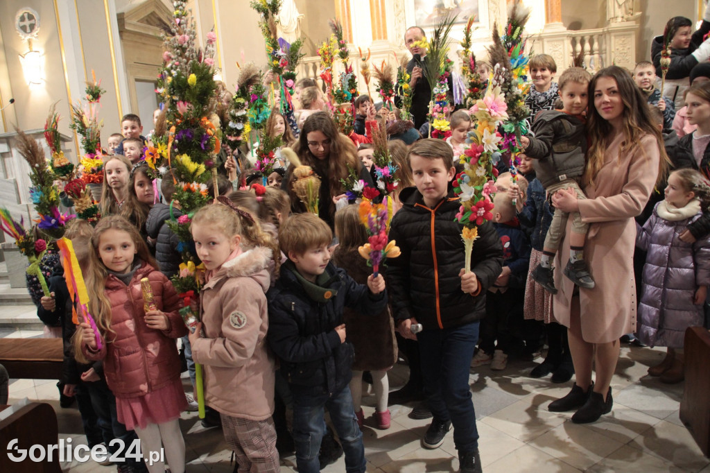 Poświecenie palm i rozstrzygnięcie konkursu w bazylice