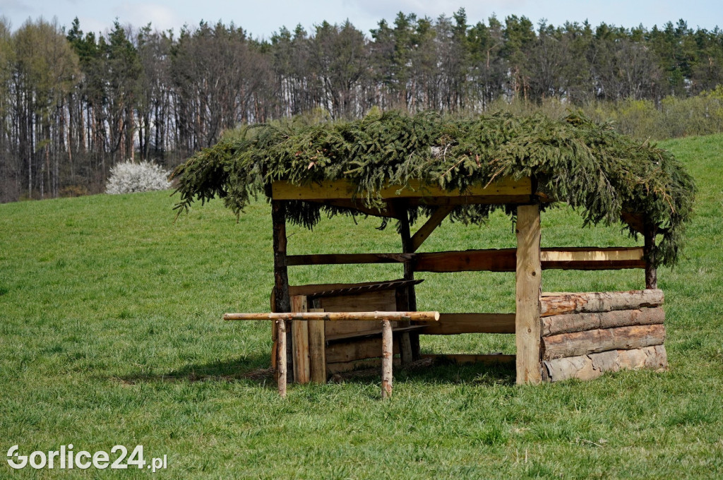 Sękowa. Teren rekonstrukcji Bitwy Pod Gorlicami.