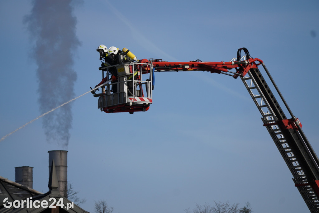 Pożar na Jarmaku Pogórzańskim (22.04.)
