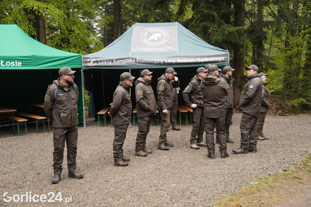 Magura Małastowska. Sadzenie lasu im. Jana Pawła II
