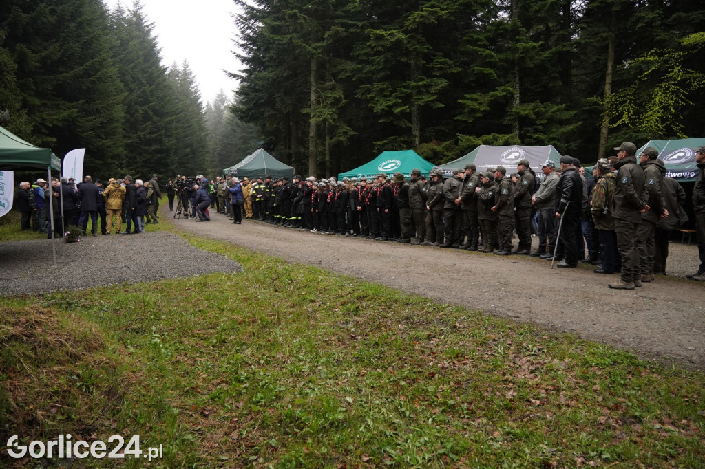 Magura Małastowska. Sadzenie lasu im. Jana Pawła II