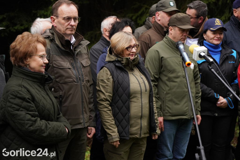 Magura Małastowska. Sadzenie lasu im. Jana Pawła II