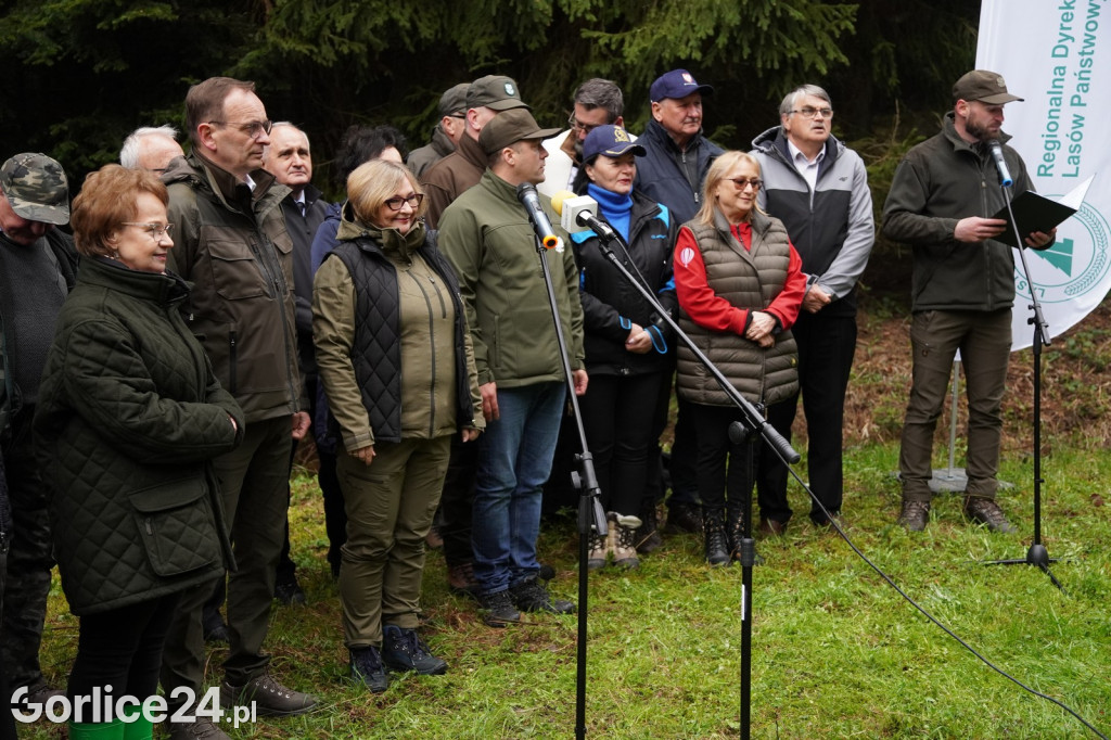 Magura Małastowska. Sadzenie lasu im. Jana Pawła II