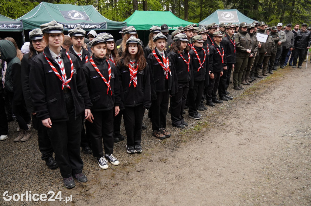 Magura Małastowska. Sadzenie lasu im. Jana Pawła II