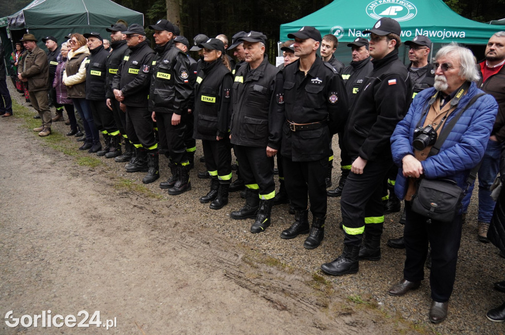 Magura Małastowska. Sadzenie lasu im. Jana Pawła II