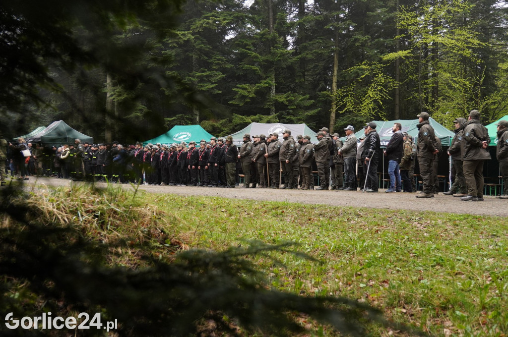 Magura Małastowska. Sadzenie lasu im. Jana Pawła II