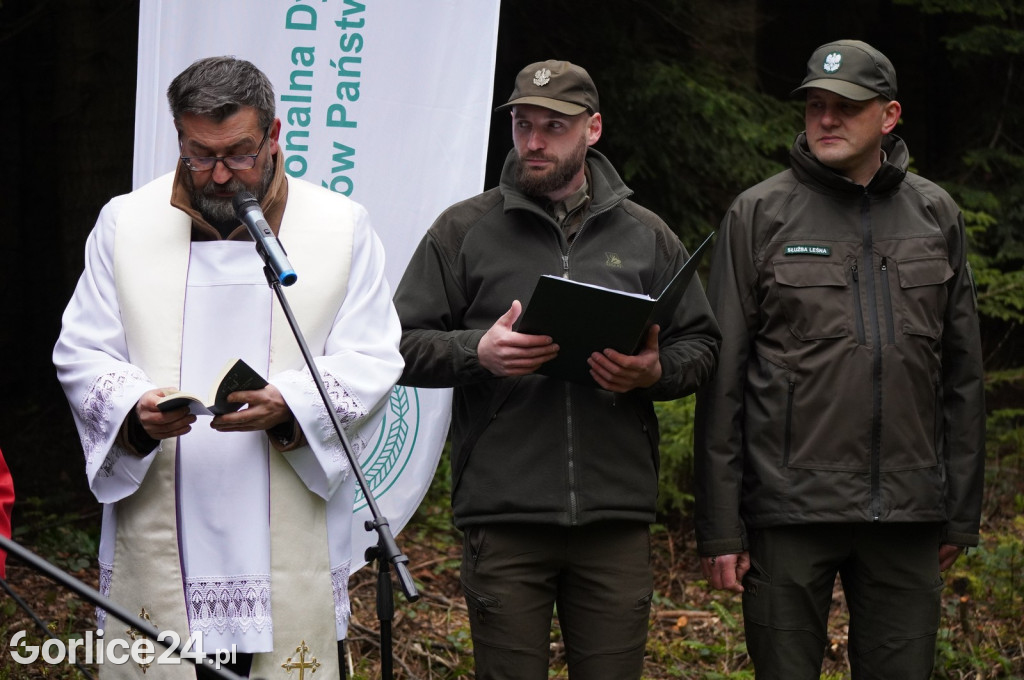 Magura Małastowska. Sadzenie lasu im. Jana Pawła II