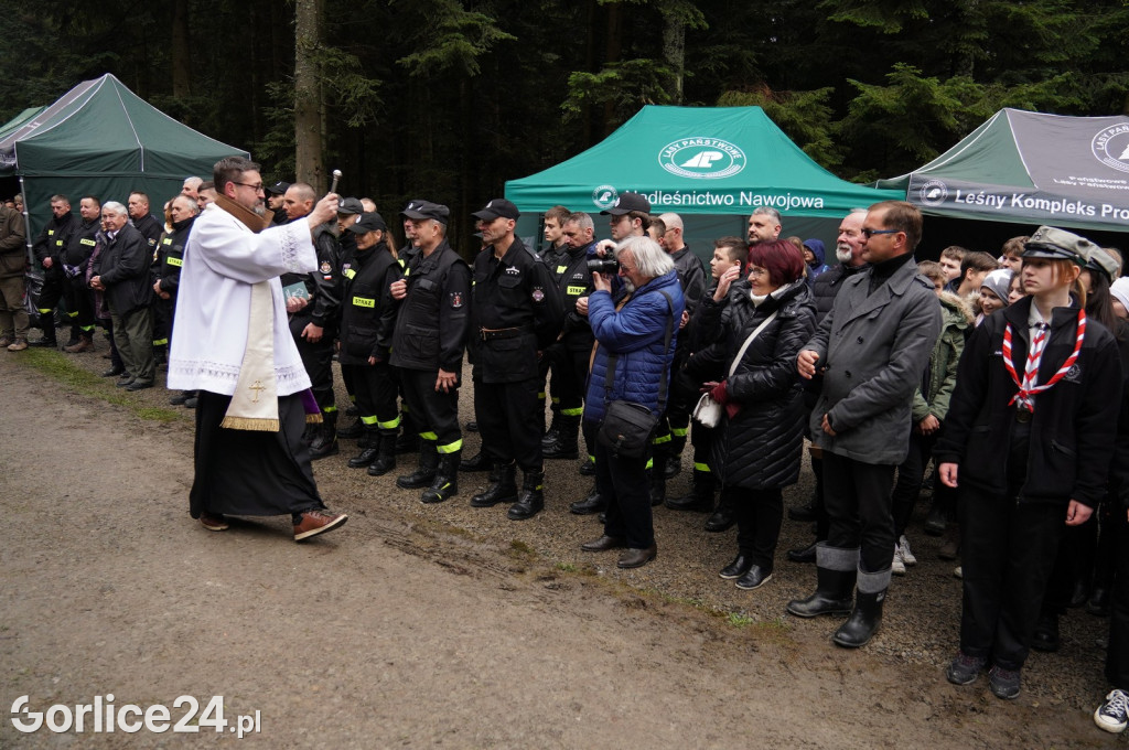 Magura Małastowska. Sadzenie lasu im. Jana Pawła II