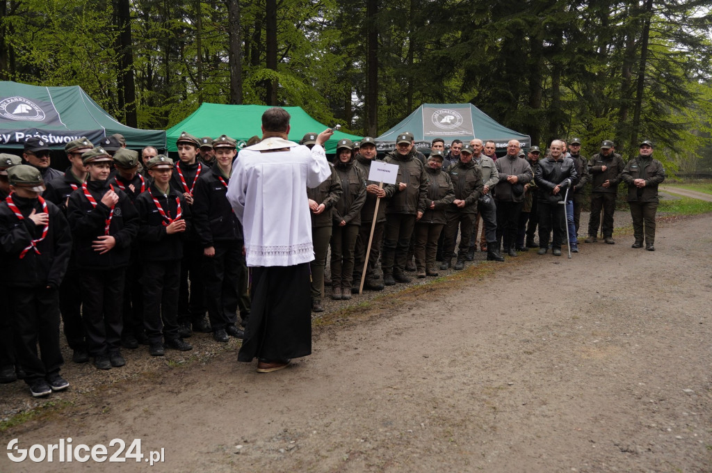 Magura Małastowska. Sadzenie lasu im. Jana Pawła II