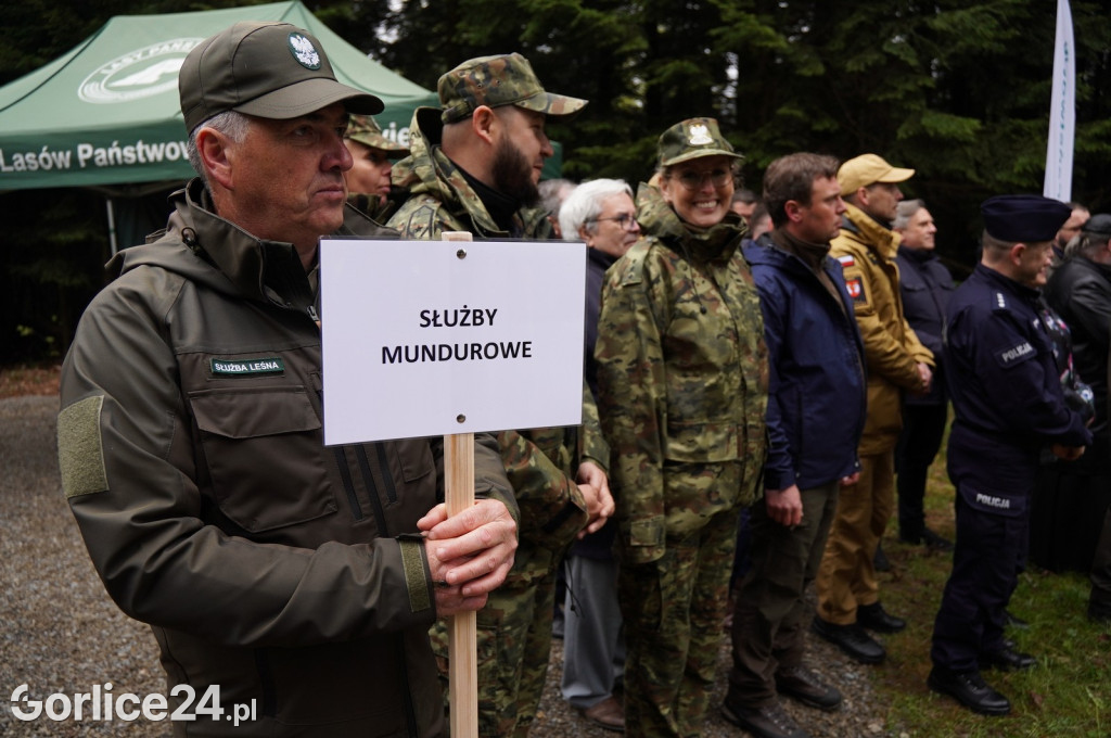 Magura Małastowska. Sadzenie lasu im. Jana Pawła II
