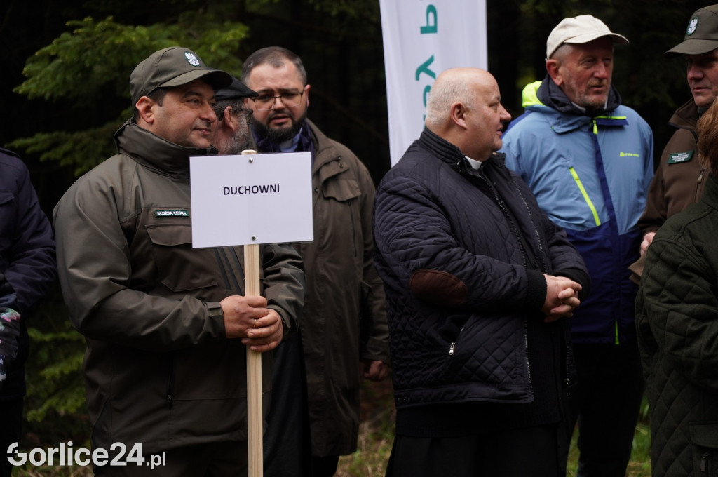 Magura Małastowska. Sadzenie lasu im. Jana Pawła II