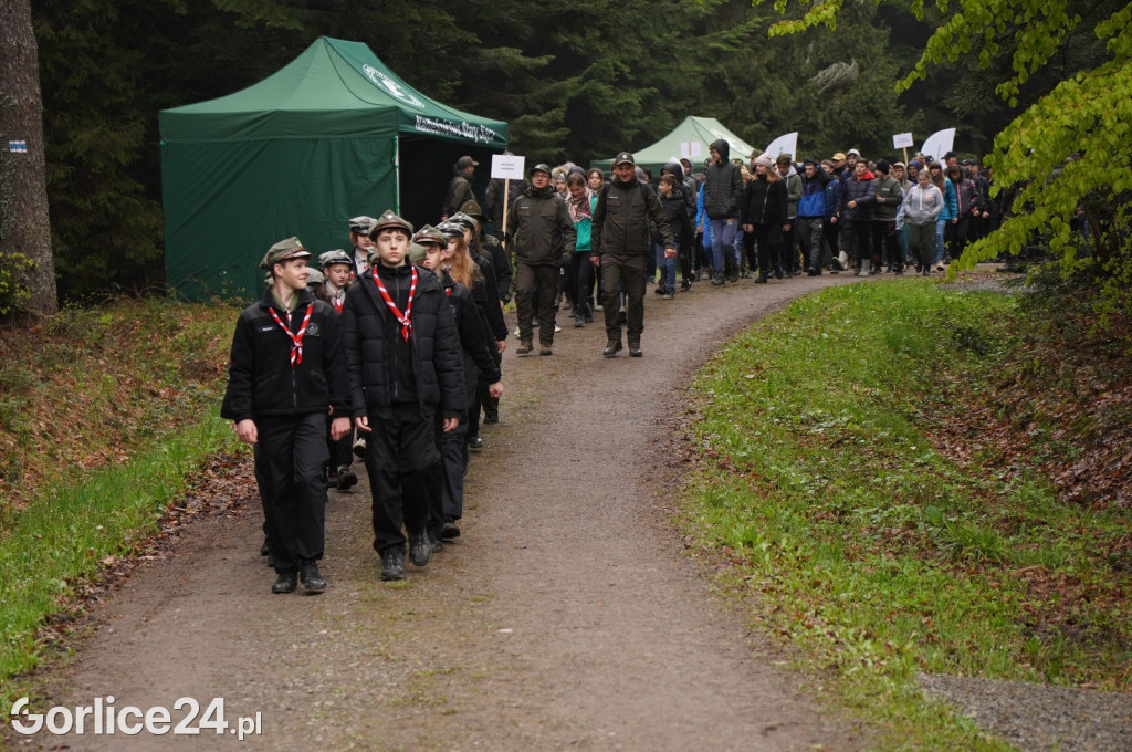 Magura Małastowska. Sadzenie lasu im. Jana Pawła II