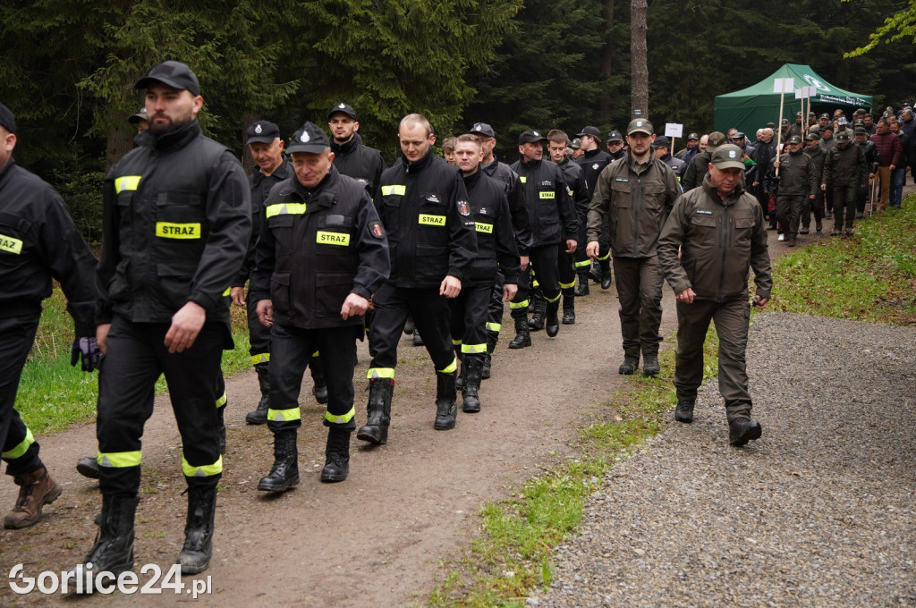 Magura Małastowska. Sadzenie lasu im. Jana Pawła II