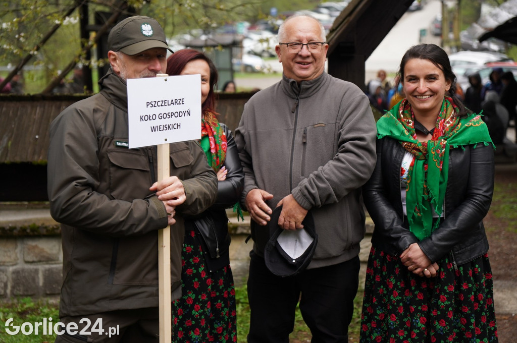 Magura Małastowska. Sadzenie lasu im. Jana Pawła II
