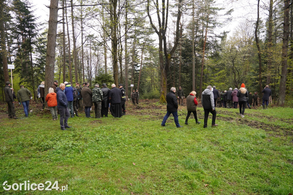 Magura Małastowska. Sadzenie lasu im. Jana Pawła II