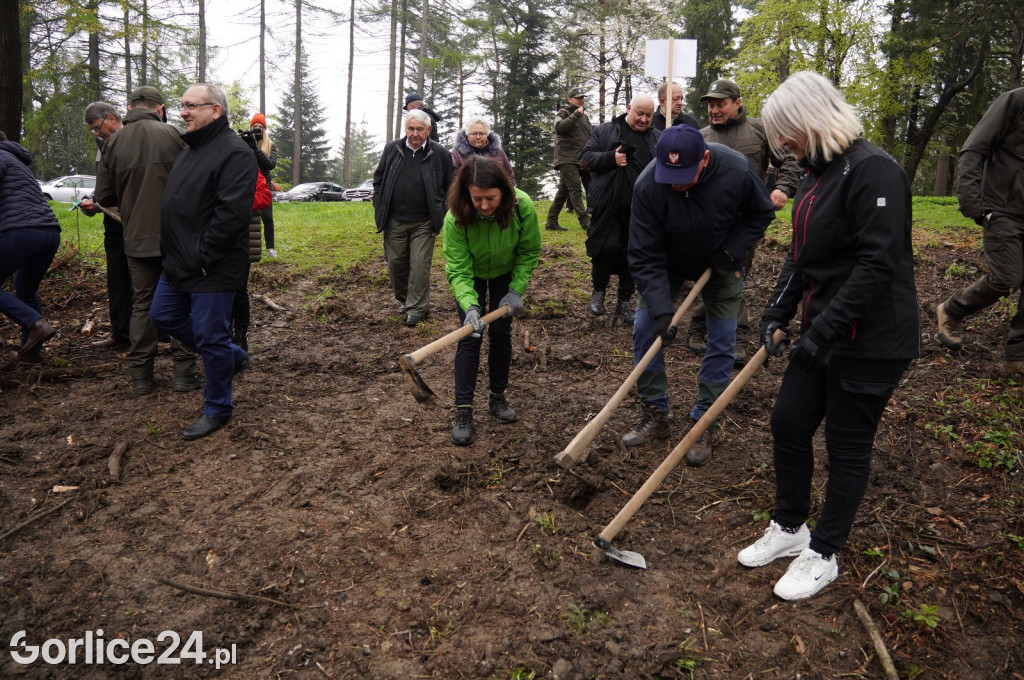 Magura Małastowska. Sadzenie lasu im. Jana Pawła II