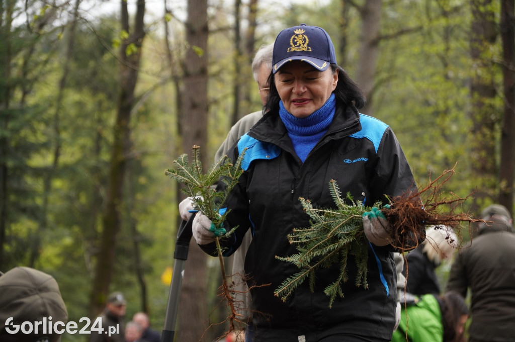 Magura Małastowska. Sadzenie lasu im. Jana Pawła II
