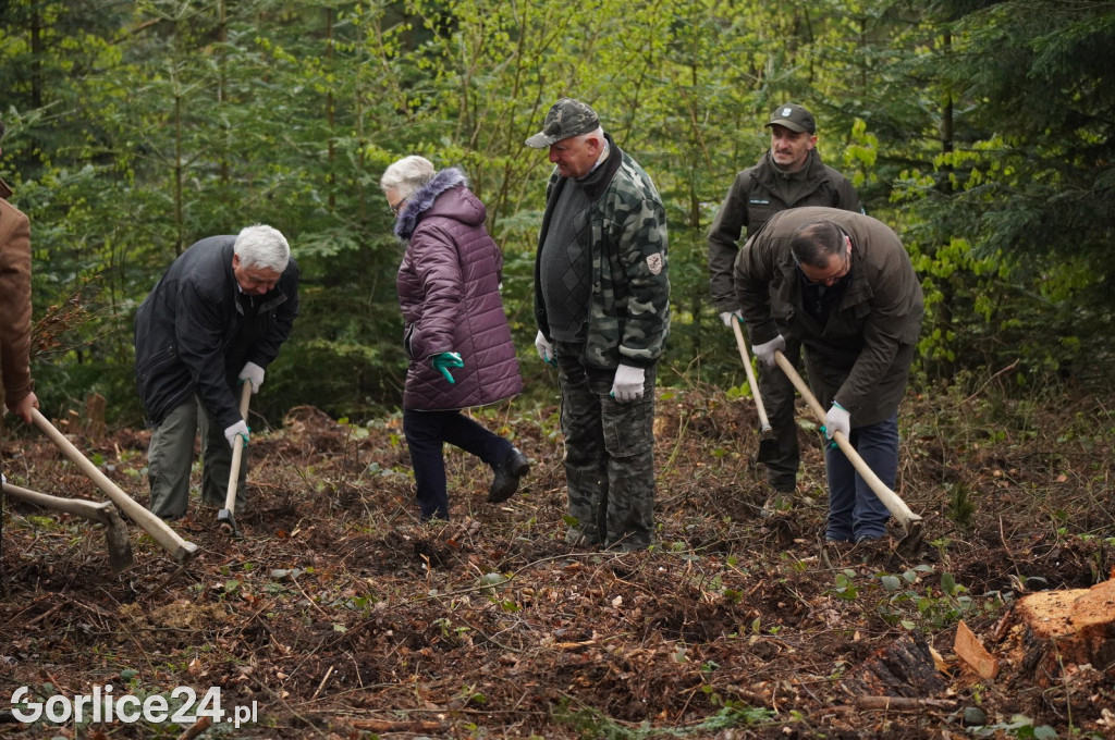 Magura Małastowska. Sadzenie lasu im. Jana Pawła II