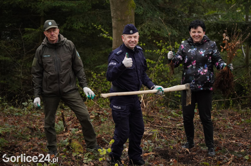 Magura Małastowska. Sadzenie lasu im. Jana Pawła II