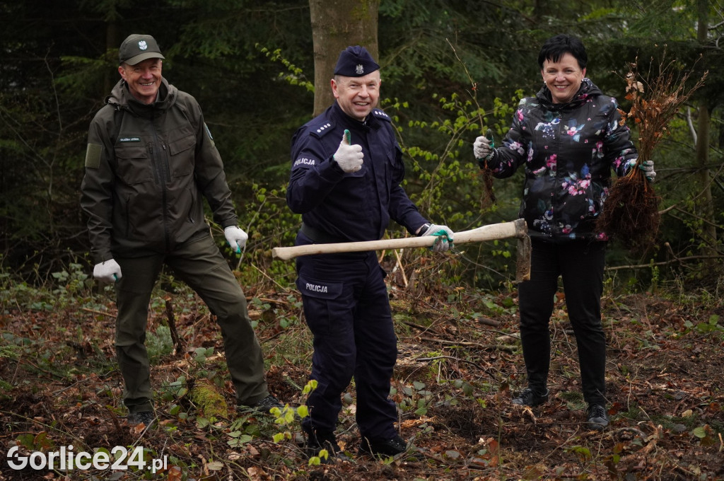 Magura Małastowska. Sadzenie lasu im. Jana Pawła II