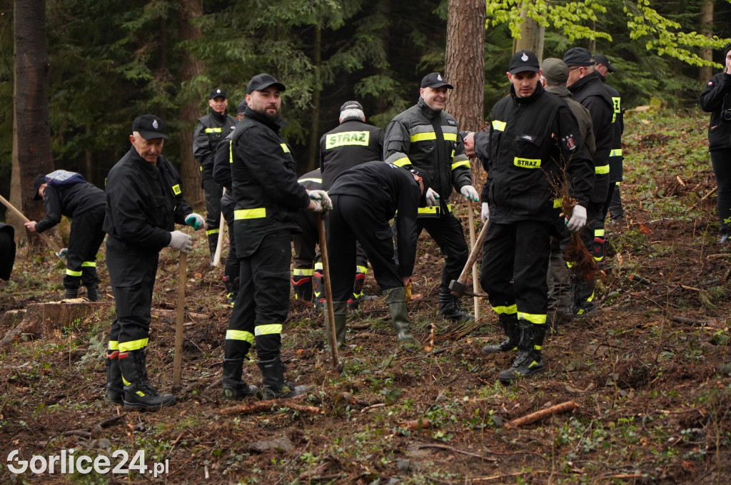 Magura Małastowska. Sadzenie lasu im. Jana Pawła II