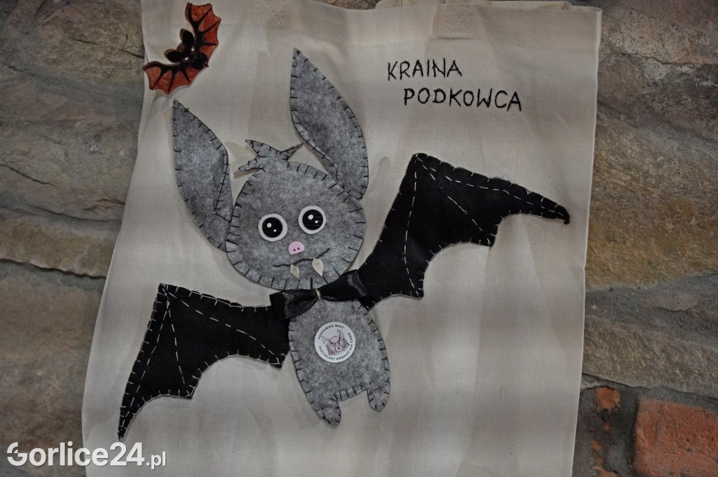 Noc nietoperzy w Kasztelu (12.05.)