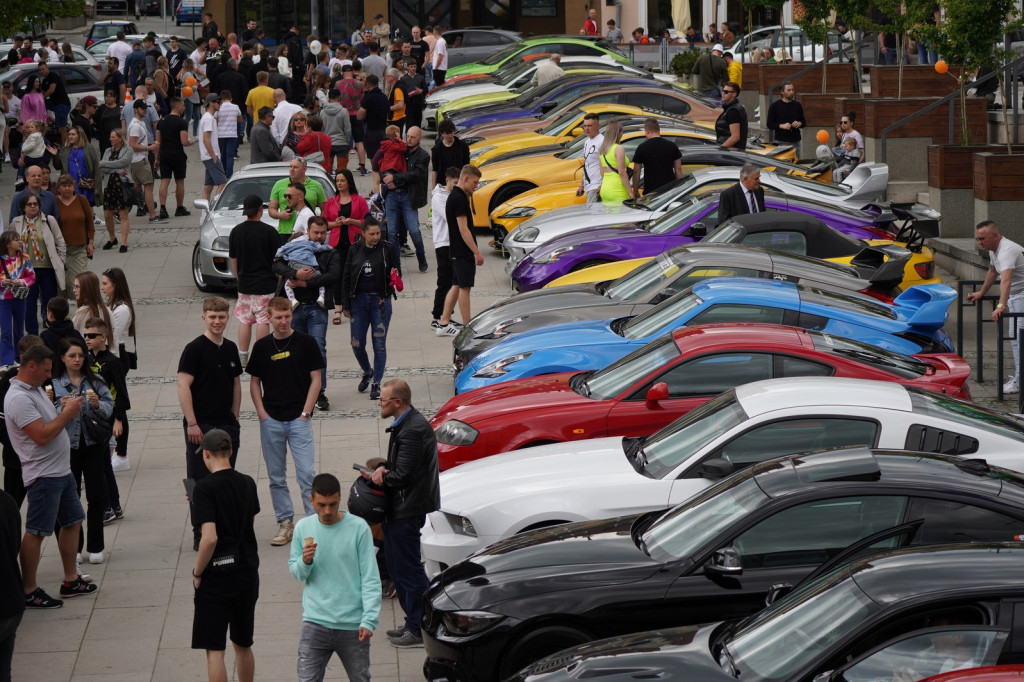 Spring Cars Vibe 2023