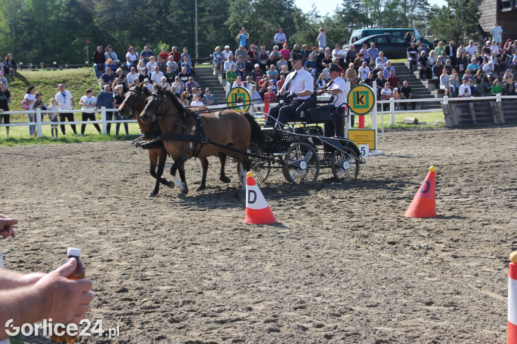 Majówka w Regietowie (21.05.)