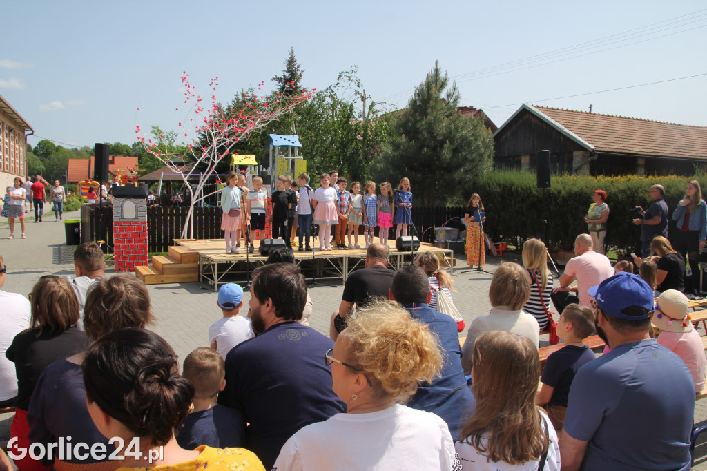 Ropica Polska. Piknik z okazji Dnia Dziecka (27.05.)