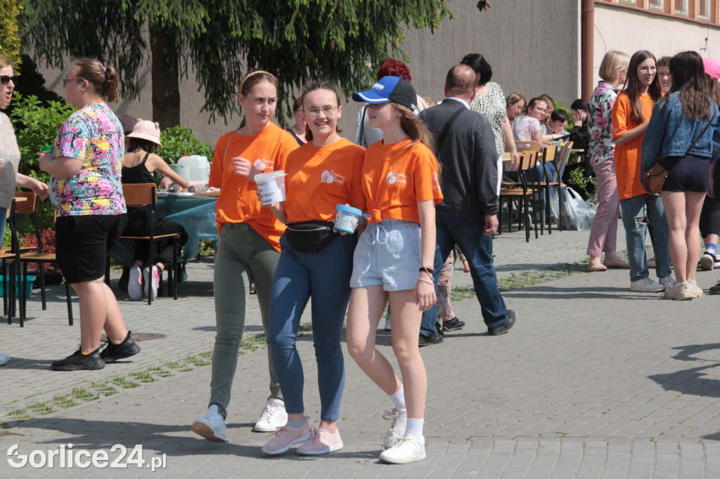 Ropica Polska. Piknik z okazji Dnia Dziecka (27.05.)