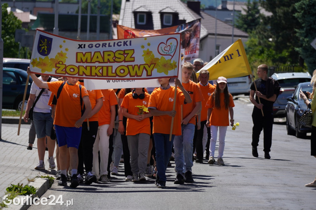 Marsz żonkilowy i Gorlicki Dzień Rodziny (04.06.)
