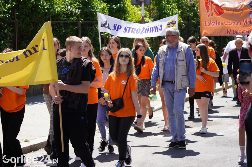 Marsz żonkilowy i Gorlicki Dzień Rodziny (04.06.)