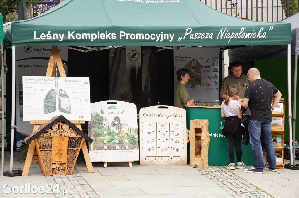 Gorlicki Rynek - Czas dla Rodziny