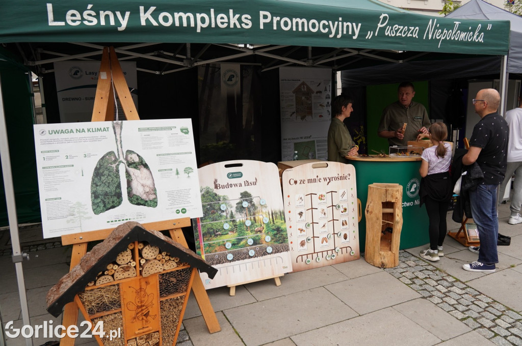 Gorlicki Rynek - Czas dla Rodziny