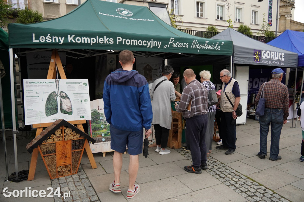 Gorlicki Rynek - Czas dla Rodziny