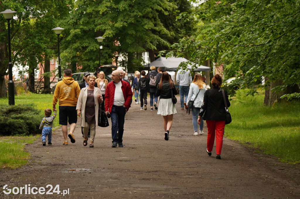 Pchli Targ w Pałacu Długoszów (11.06.)