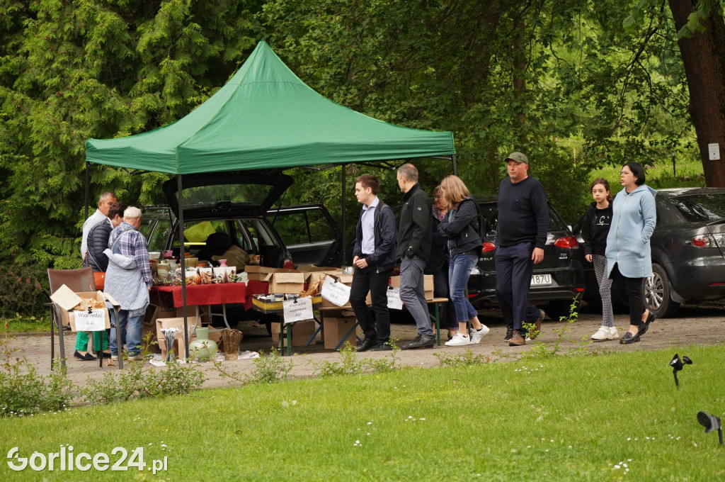 Pchli Targ w Pałacu Długoszów (11.06.)