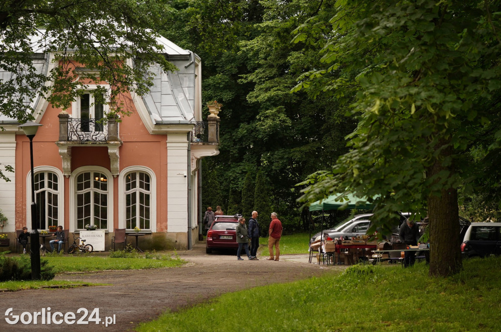 Pchli Targ w Pałacu Długoszów (11.06.)