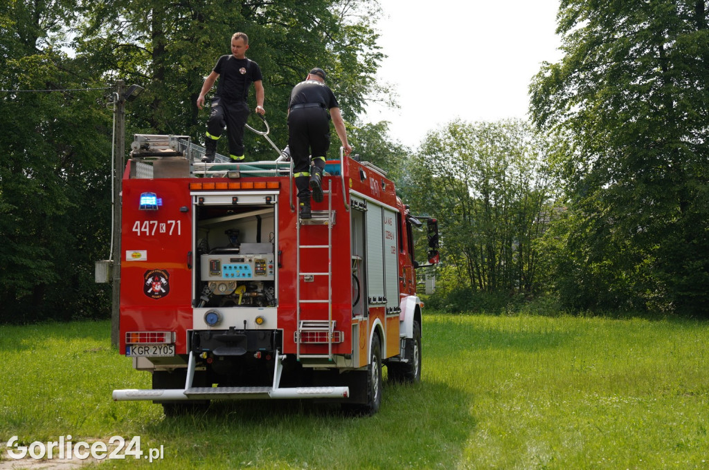 Dzień Rodziny i Piknik Służb w Łużnej (17.06.)