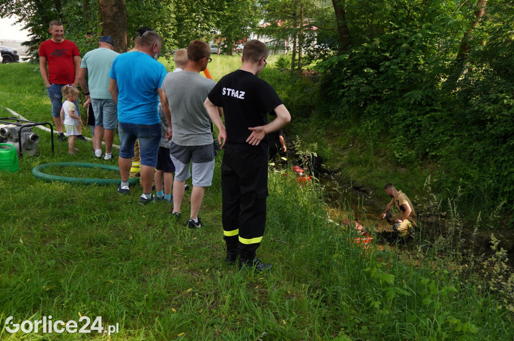 Dzień Rodziny i Piknik Służb w Łużnej (17.06.)