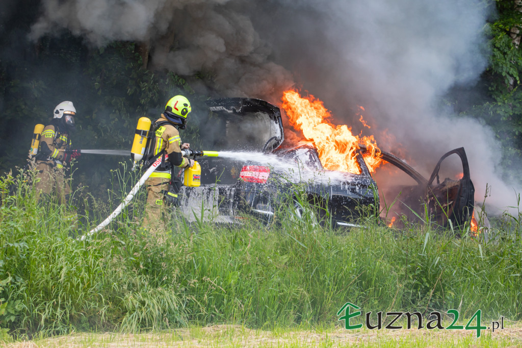 Pożar samochodu w Łużnej (19.06.)