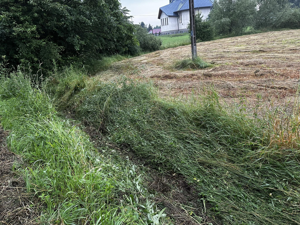 Wójtowa. Fiat wjechał do rowu (23.06.)