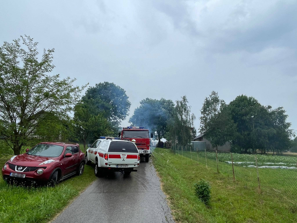 Dominikowice. Pożar drewna przy budynku gospodarczym