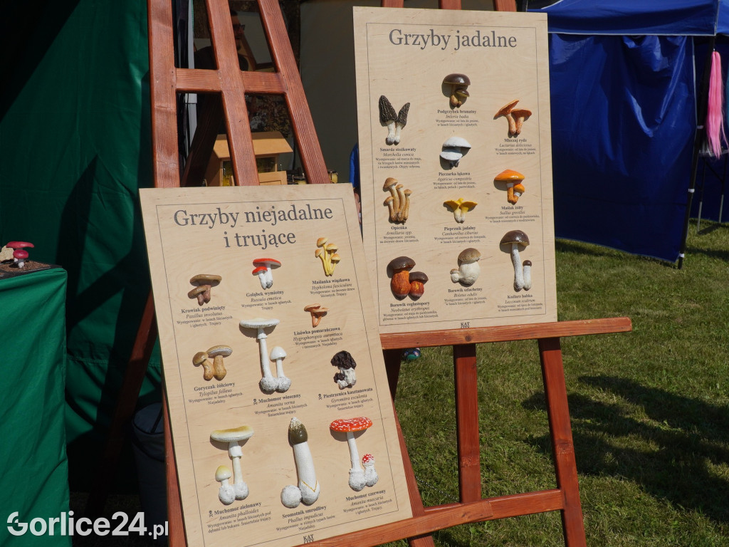 Piknik rodzinny przy remizie OSP Wysowa-Zdrój