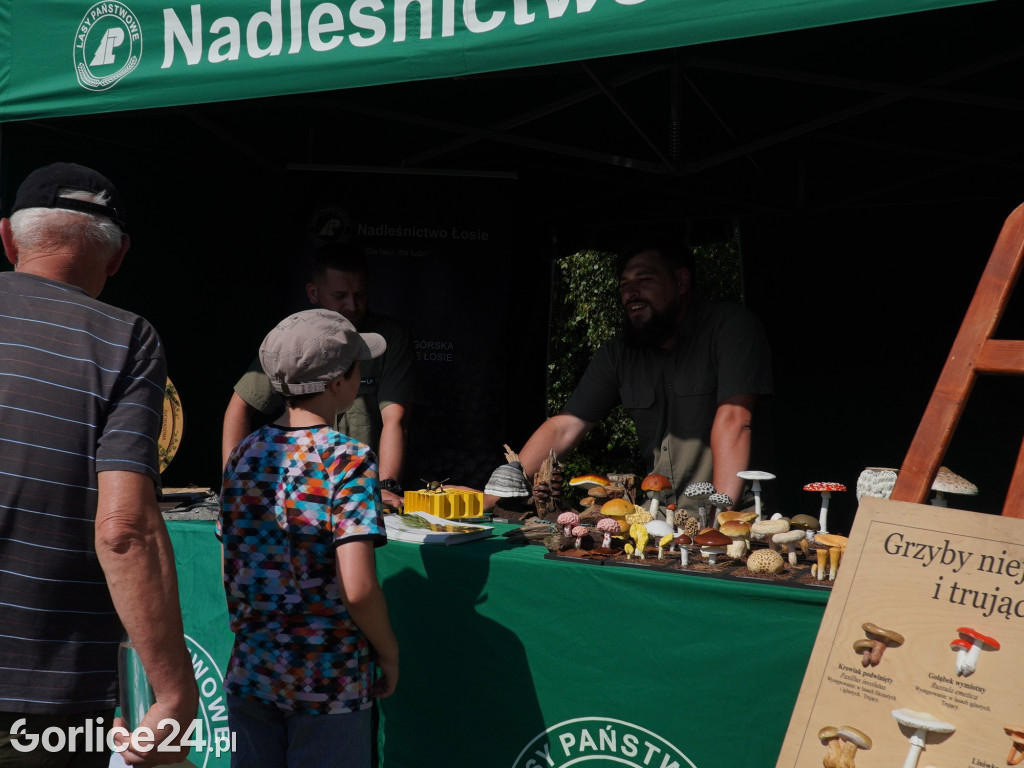 Piknik rodzinny przy remizie OSP Wysowa-Zdrój
