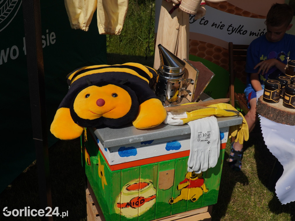 Piknik rodzinny przy remizie OSP Wysowa-Zdrój