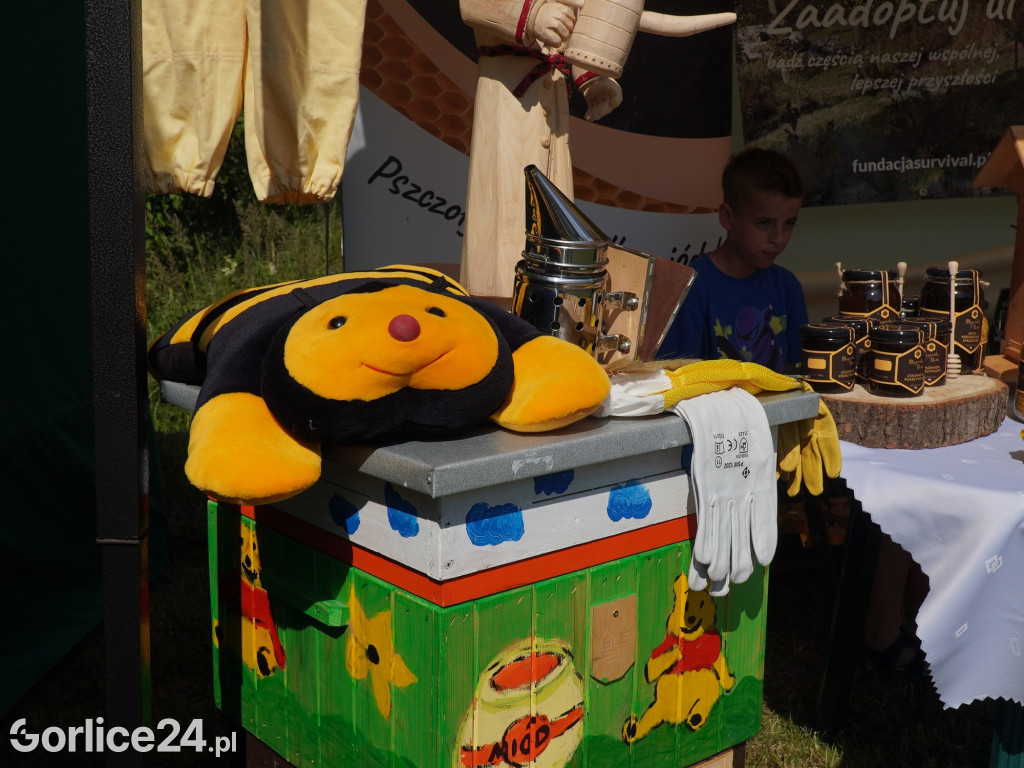 Piknik rodzinny przy remizie OSP Wysowa-Zdrój