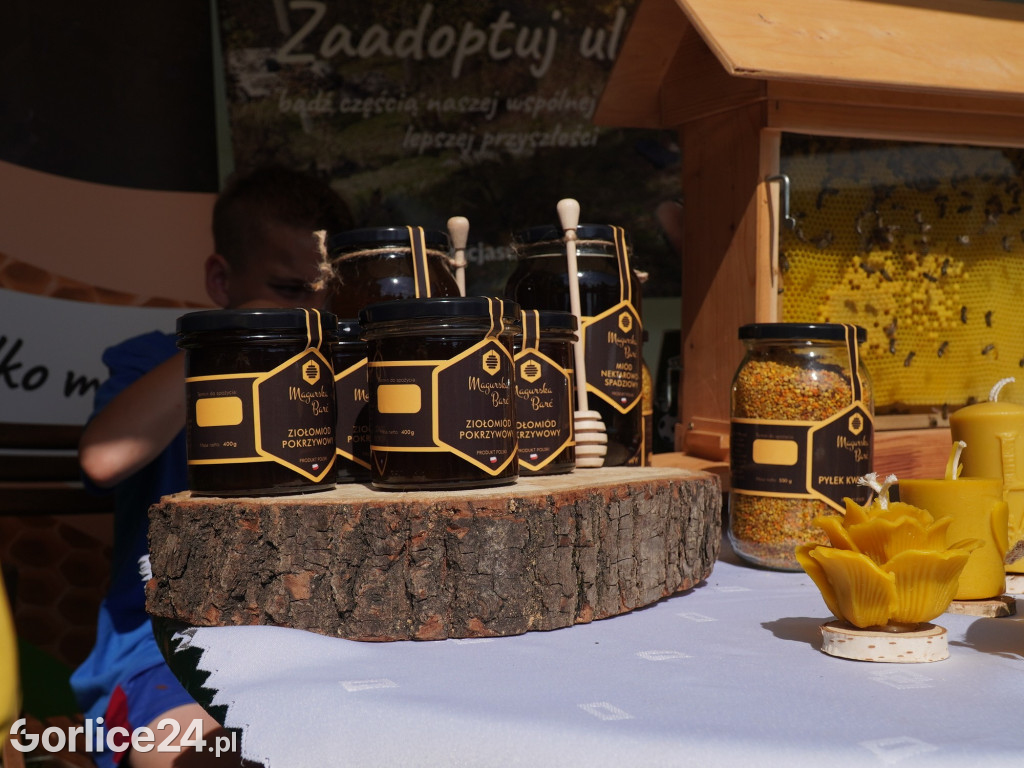 Piknik rodzinny przy remizie OSP Wysowa-Zdrój