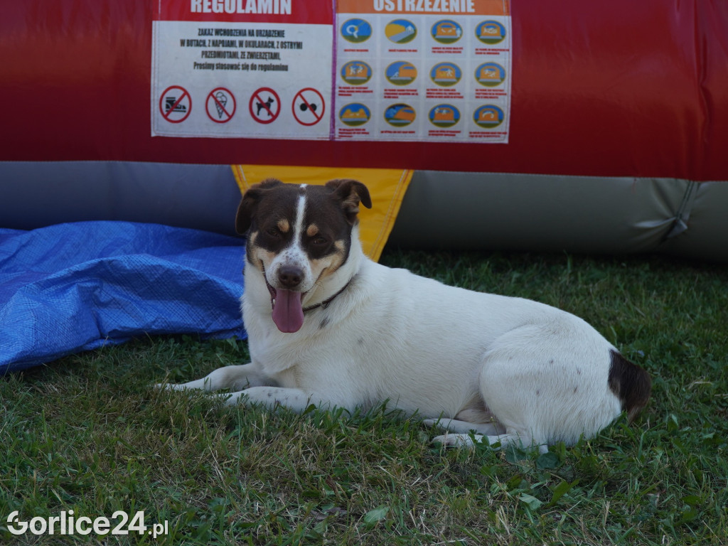 Piknik rodzinny przy remizie OSP Wysowa-Zdrój